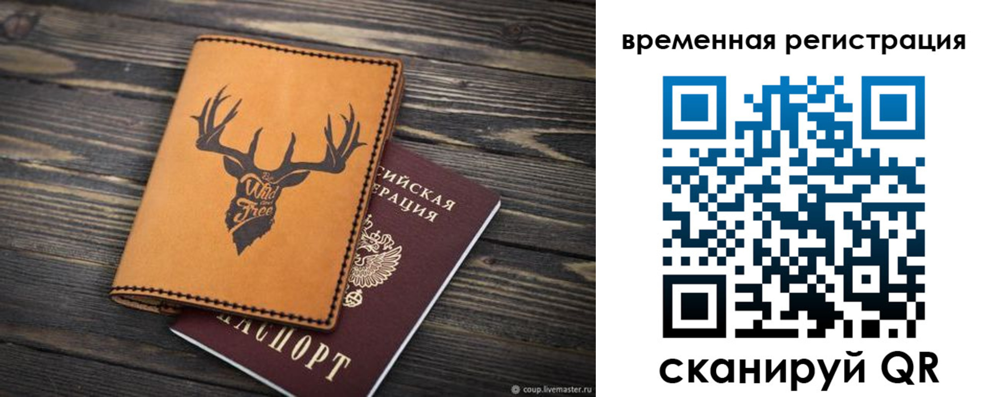 прописка в Мурманске
